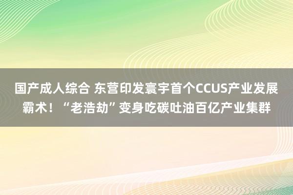 国产成人综合 东营印发寰宇首个CCUS产业发展霸术！“老浩劫”变身吃碳吐油百亿产业集群