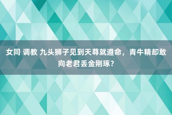 女同 调教 九头狮子见到天尊就遵命，青牛精却敢向老君丢金刚琢？