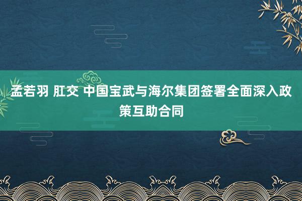 孟若羽 肛交 中国宝武与海尔集团签署全面深入政策互助合同