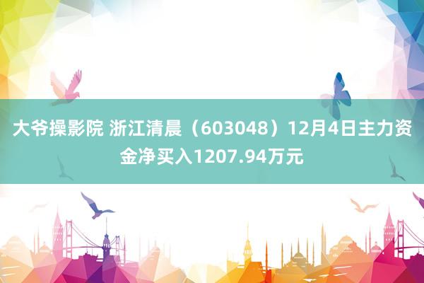 大爷操影院 浙江清晨（603048）12月4日主力资金净买入1207.94万元