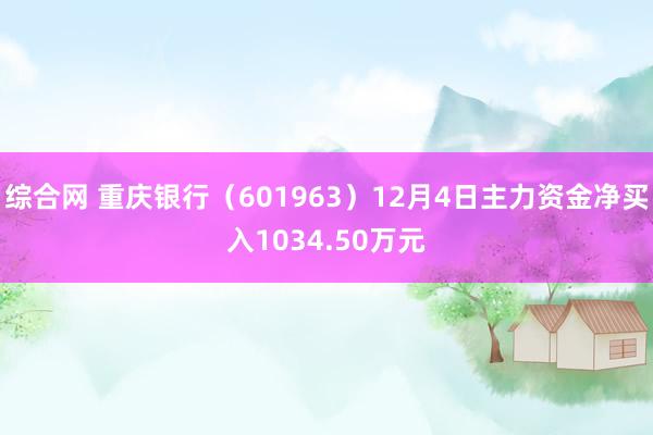 综合网 重庆银行（601963）12月4日主力资金净买入1034.50万元