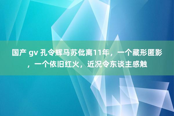 国产 gv 孔令辉马苏仳离11年，一个藏形匿影，一个依旧红火，近况令东谈主感触