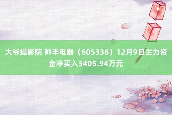 大爷操影院 帅丰电器（605336）12月9日主力资金净买入3405.94万元