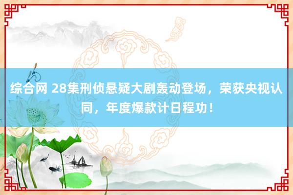 综合网 28集刑侦悬疑大剧轰动登场，荣获央视认同，年度爆款计日程功！