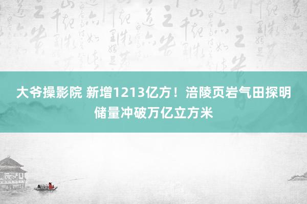 大爷操影院 新增1213亿方！涪陵页岩气田探明储量冲破万亿立方米