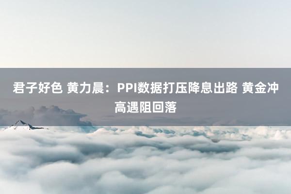 君子好色 黄力晨：PPI数据打压降息出路 黄金冲高遇阻回落