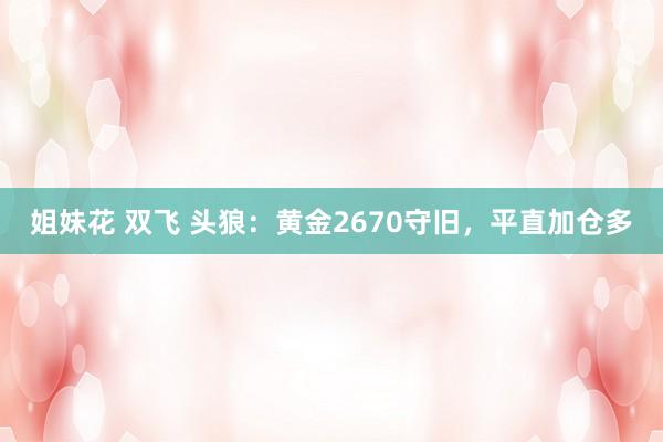 姐妹花 双飞 头狼：黄金2670守旧，平直加仓多