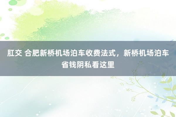 肛交 合肥新桥机场泊车收费法式，新桥机场泊车省钱阴私看这里