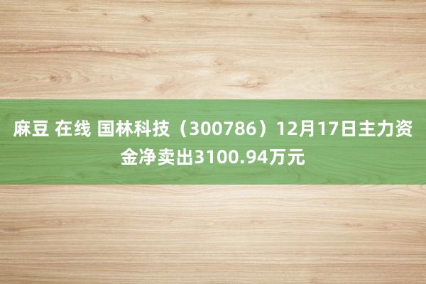 麻豆 在线 国林科技（300786）12月17日主力资金净卖出3100.94万元