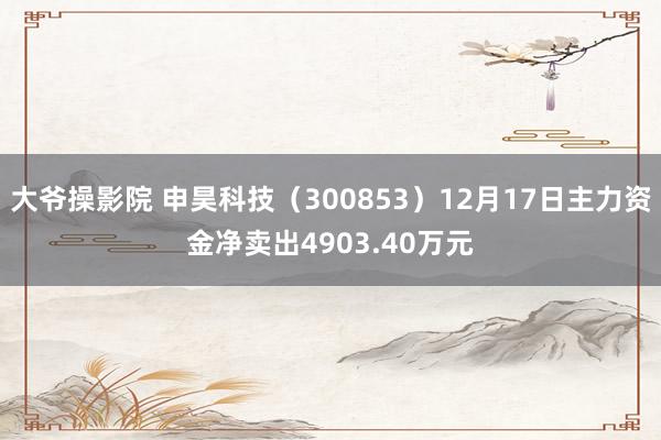 大爷操影院 申昊科技（300853）12月17日主力资金净卖出4903.40万元