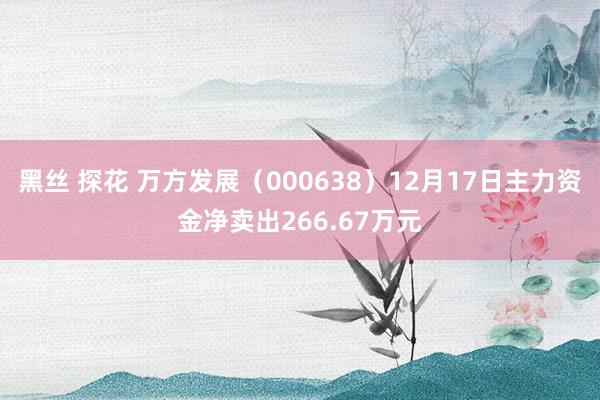 黑丝 探花 万方发展（000638）12月17日主力资金净卖出266.67万元