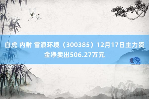 白虎 内射 雪浪环境（300385）12月17日主力资金净卖出506.27万元