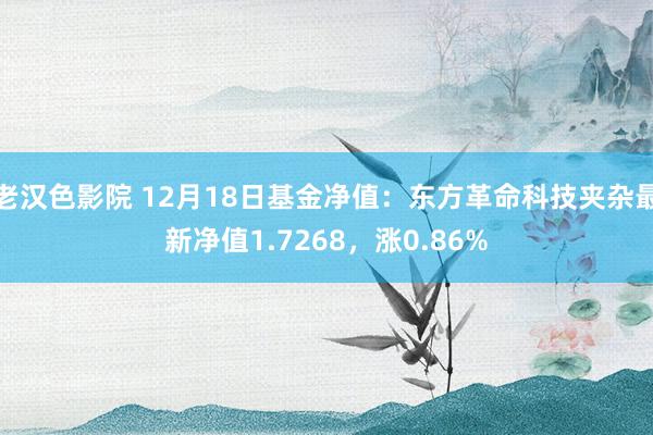 老汉色影院 12月18日基金净值：东方革命科技夹杂最新净值1.7268，涨0.86%