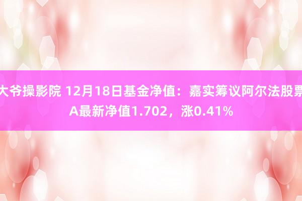 大爷操影院 12月18日基金净值：嘉实筹议阿尔法股票A最新净值1.702，涨0.41%