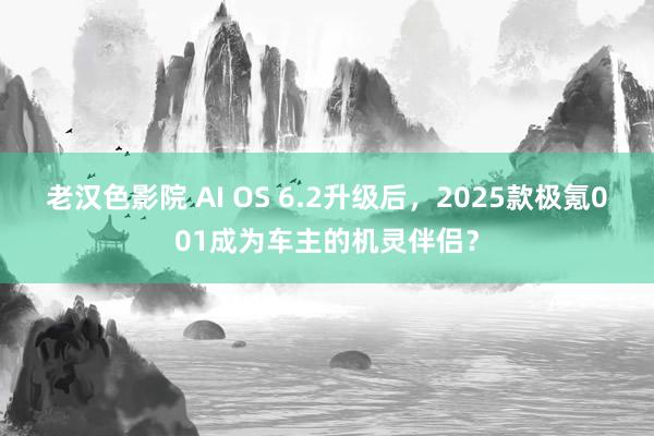 老汉色影院 AI OS 6.2升级后，2025款极氪001成为车主的机灵伴侣？