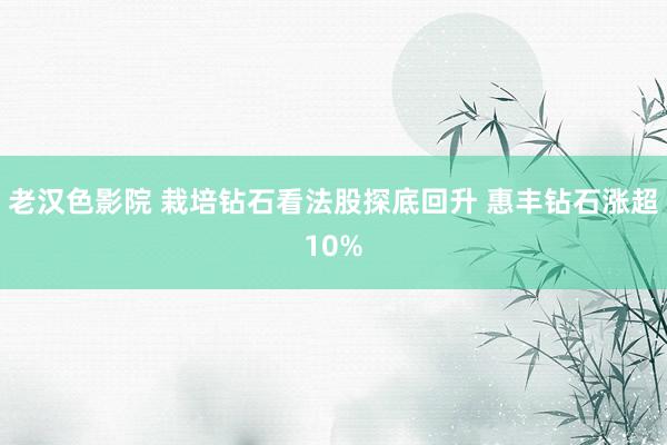 老汉色影院 栽培钻石看法股探底回升 惠丰钻石涨超10%