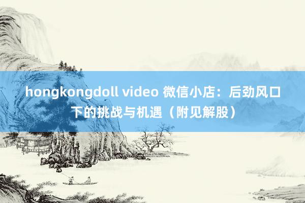 hongkongdoll video 微信小店：后劲风口下的挑战与机遇（附见解股）