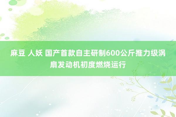 麻豆 人妖 国产首款自主研制600公斤推力级涡扇发动机初度燃烧运行