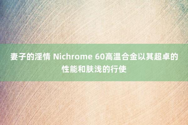 妻子的淫情 Nichrome 60高温合金以其超卓的性能和肤浅的行使