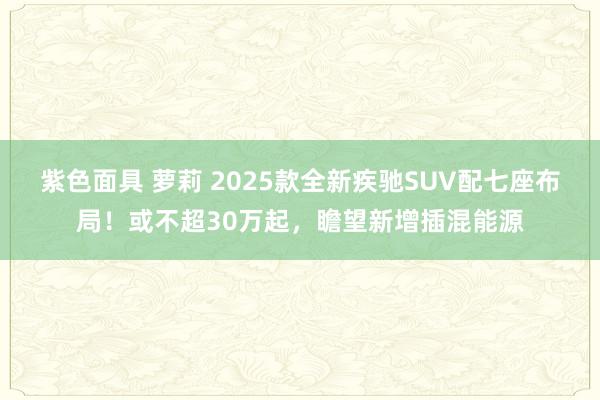 紫色面具 萝莉 2025款全新疾驰SUV配七座布局！或不超30万起，瞻望新增插混能源