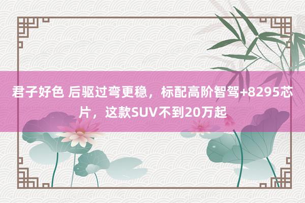 君子好色 后驱过弯更稳，标配高阶智驾+8295芯片，这款SUV不到20万起