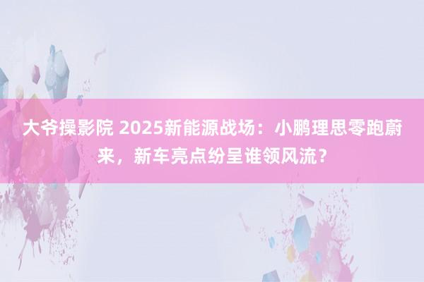 大爷操影院 2025新能源战场：小鹏理思零跑蔚来，新车亮点纷呈谁领风流？