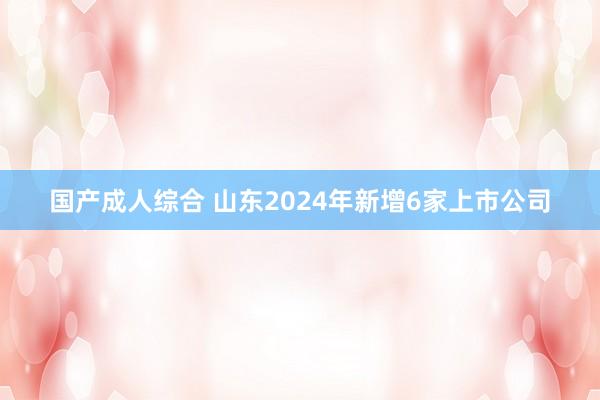 国产成人综合 山东2024年新增6家上市公司