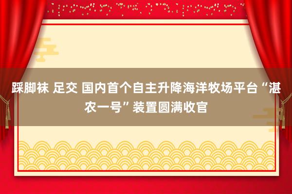 踩脚袜 足交 国内首个自主升降海洋牧场平台“湛农一号”装置圆满收官