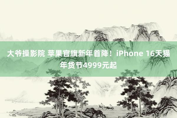 大爷操影院 苹果官旗新年首降！iPhone 16天猫年货节4999元起