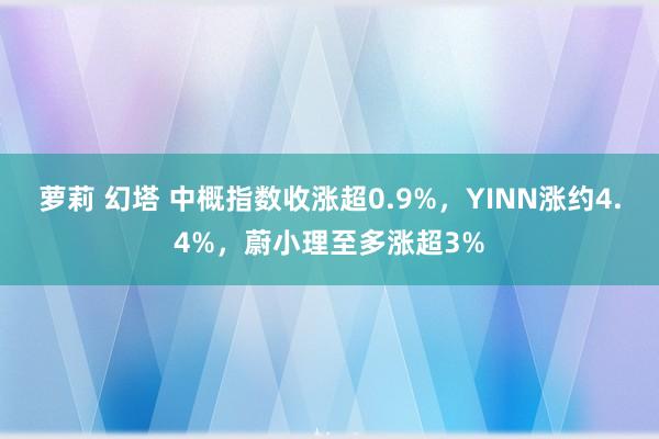 萝莉 幻塔 中概指数收涨超0.9%，YINN涨约4.4%，蔚小理至多涨超3%