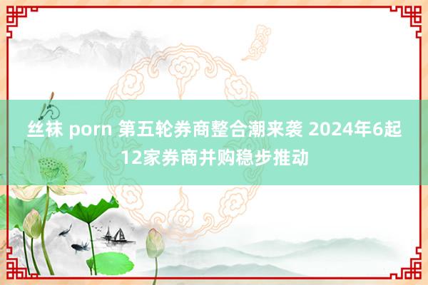 丝袜 porn 第五轮券商整合潮来袭 2024年6起12家券商并购稳步推动