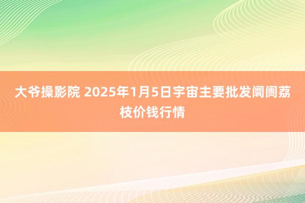 大爷操影院 2025年1月5日宇宙主要批发阛阓荔枝价钱行情