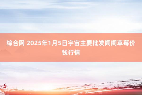 综合网 2025年1月5日宇宙主要批发阛阓草莓价钱行情