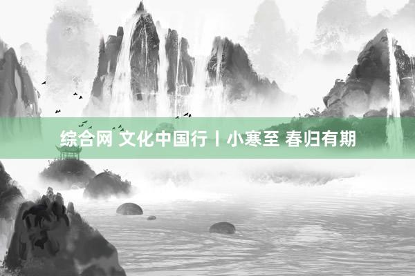 综合网 文化中国行丨小寒至 春归有期