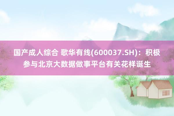 国产成人综合 歌华有线(600037.SH)：积极参与北京大数据做事平台有关花样诞生