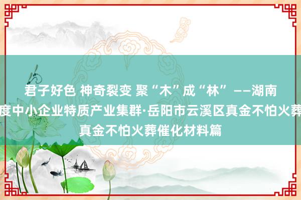 君子好色 神奇裂变 聚“木”成“林” ——湖南服从栽培国度中小企业特质产业集群·岳阳市云溪区真金不怕火葬催化材料篇