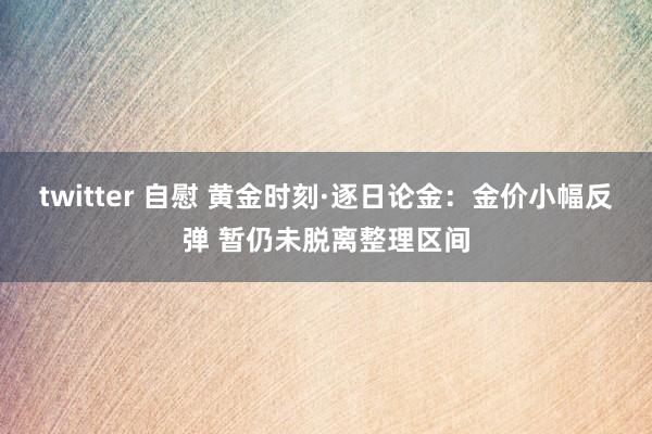 twitter 自慰 黄金时刻·逐日论金：金价小幅反弹 暂仍未脱离整理区间