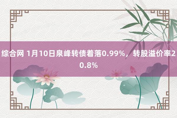 综合网 1月10日泉峰转债着落0.99%，转股溢价率20.8%