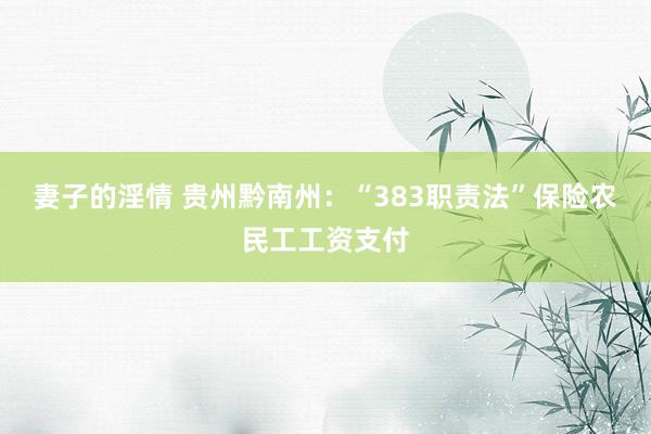 妻子的淫情 贵州黔南州：“383职责法”保险农民工工资支付