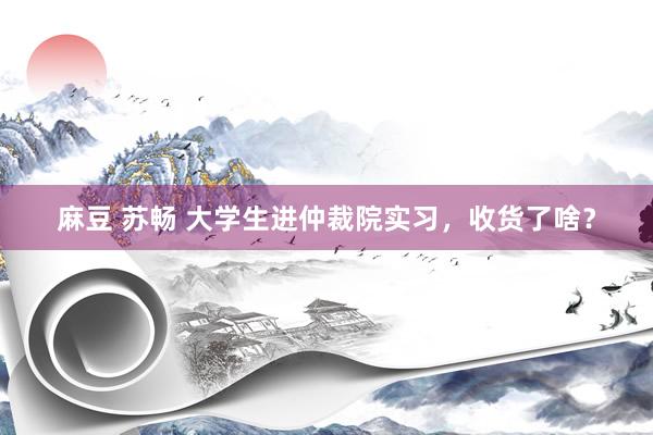 麻豆 苏畅 大学生进仲裁院实习，收货了啥？