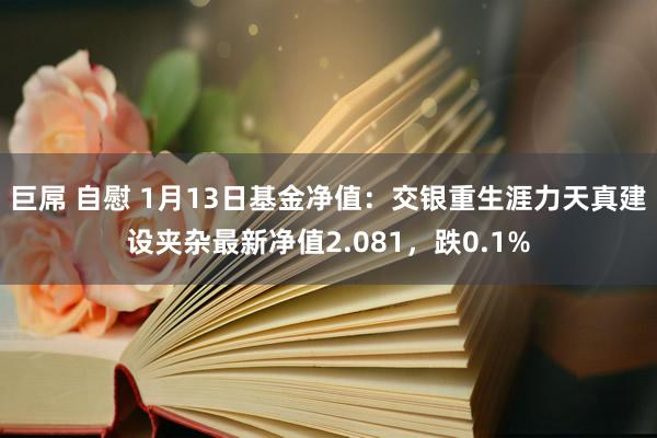 巨屌 自慰 1月13日基金净值：交银重生涯力天真建设夹杂最新净值2.081，跌0.1%