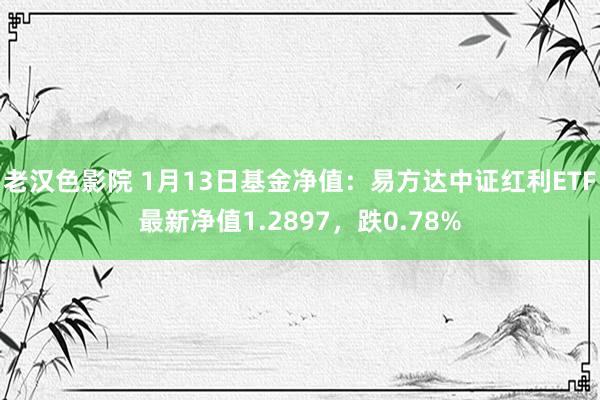 老汉色影院 1月13日基金净值：易方达中证红利ETF最新净值1.2897，跌0.78%