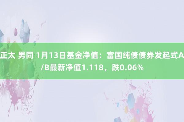 正太 男同 1月13日基金净值：富国纯债债券发起式A/B最新净值1.118，跌0.06%