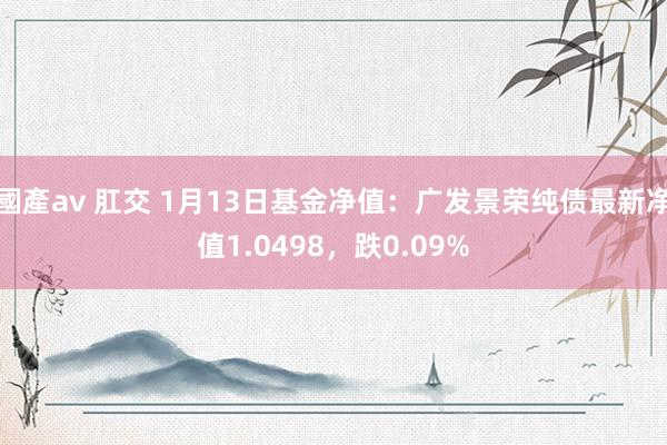 國產av 肛交 1月13日基金净值：广发景荣纯债最新净值1.0498，跌0.09%