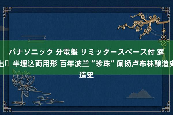 パナソニック 分電盤 リミッタースペース付 露出・半埋込両用形 百年波兰“珍珠”阐扬卢布林酿造史