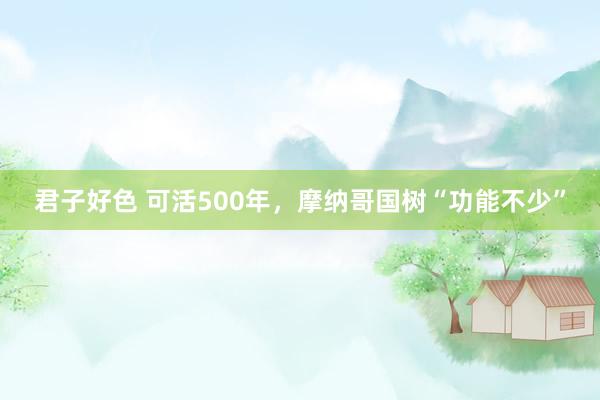 君子好色 可活500年，摩纳哥国树“功能不少”